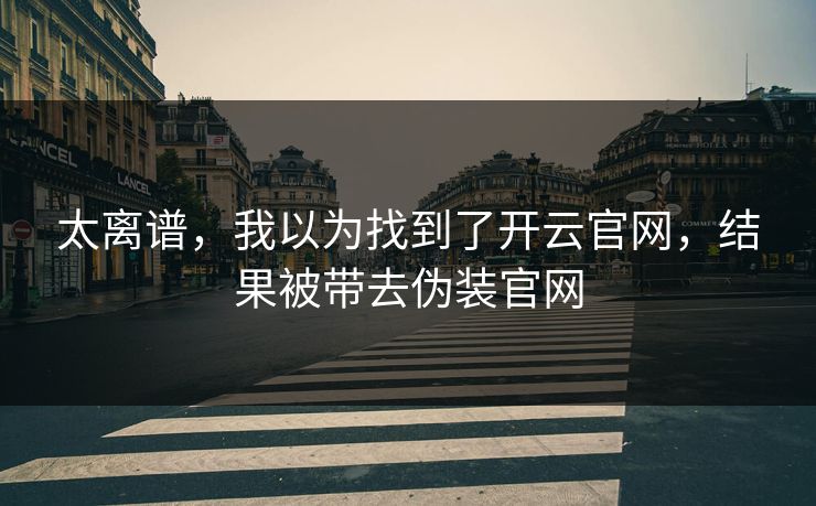 太离谱，我以为找到了开云官网，结果被带去伪装官网