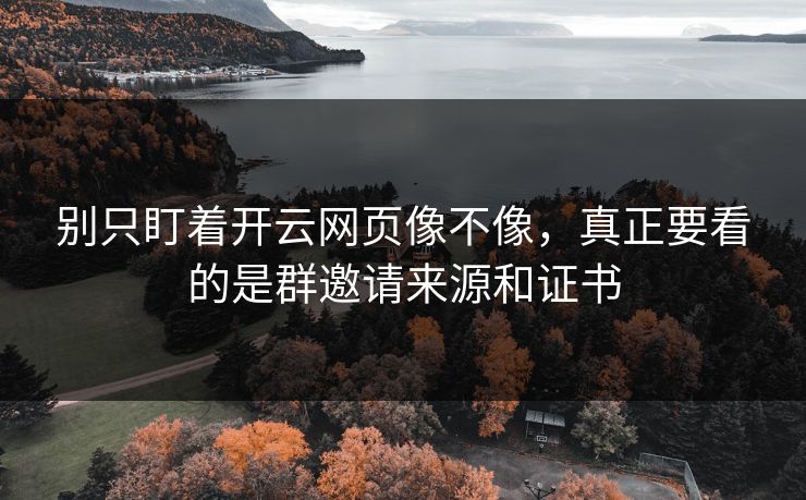 别只盯着开云网页像不像，真正要看的是群邀请来源和证书